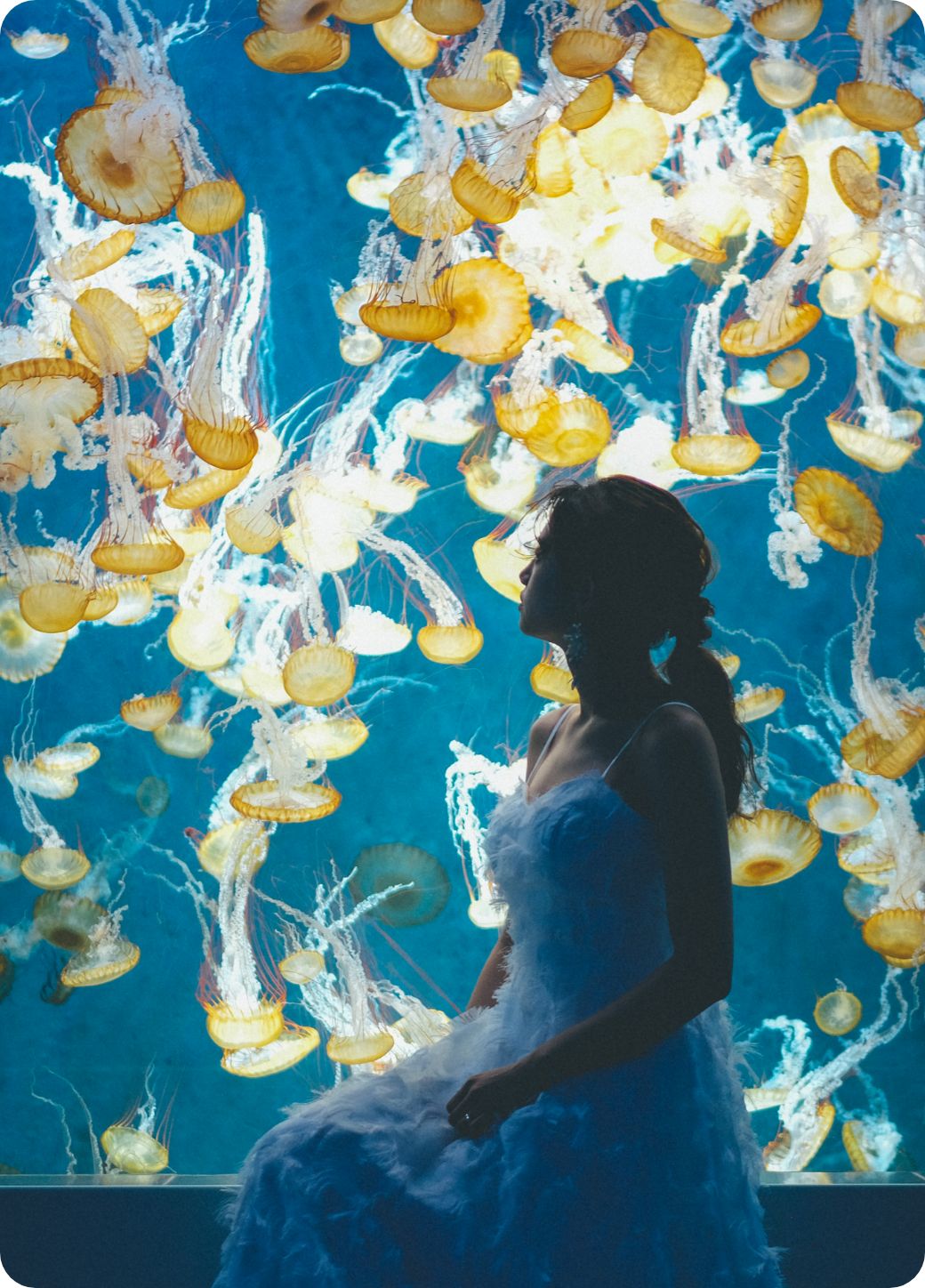 Jheart クラゲと女性